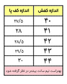 مجلسی دلایو
