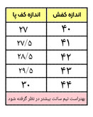مجلسی هانتا